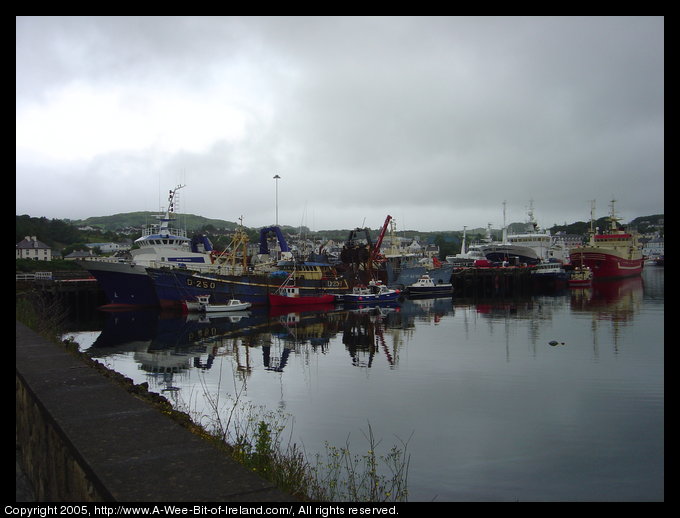 Fishing ships in the Killybegs harbor, Donegal