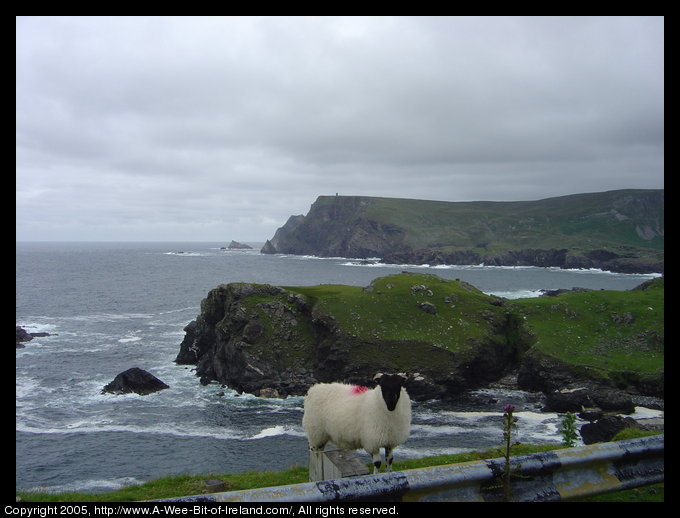 Atlantic Ocean waves crashing against rocky Irish Coast.