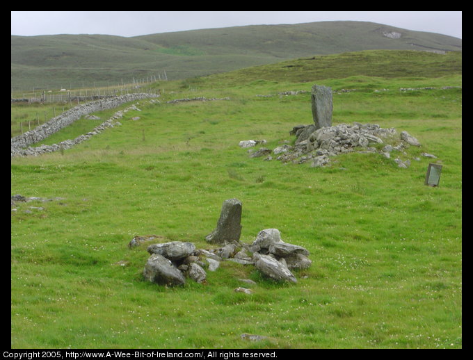 Two standing stones in a field of green grass with a hill behind.