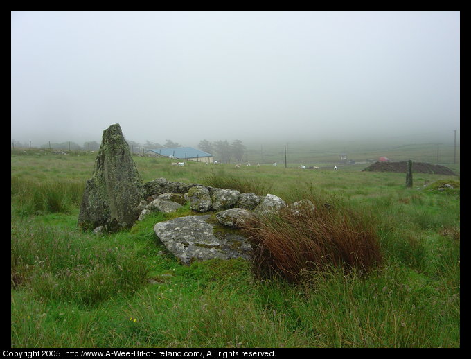An ancient standing stone in the foreground with a second further away.