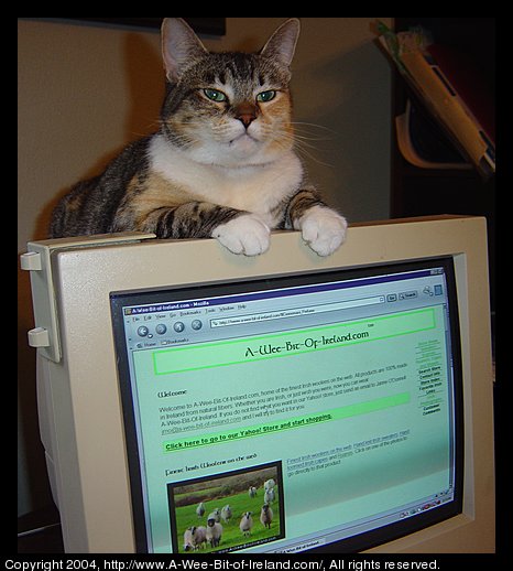 Calico store cat sitting on top of old fashioned computer monitor.